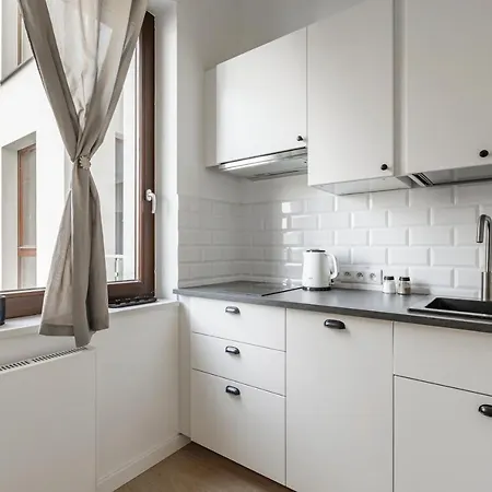 Homewell Zelazko Poznan