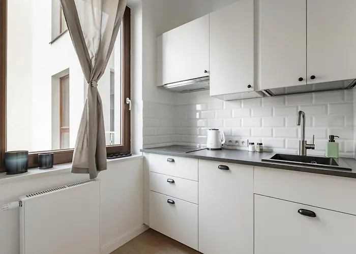 Homewell Zelazko Poznan